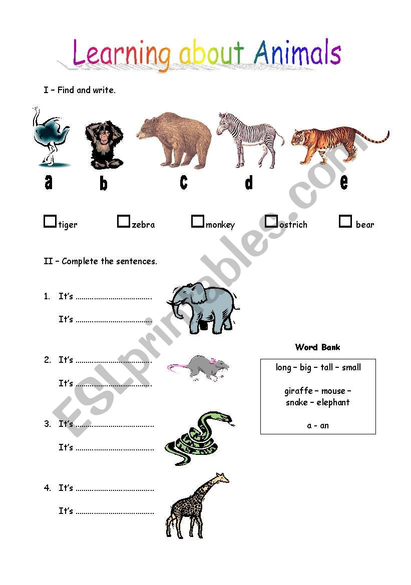 Learning about Animals worksheet