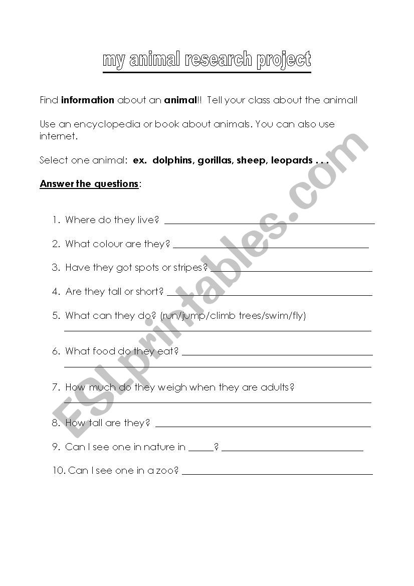 Animal research worksheet