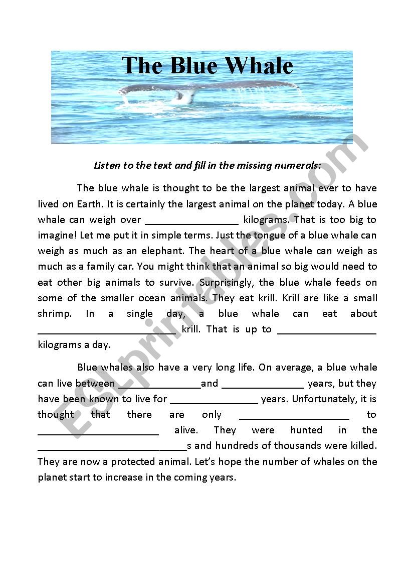 Blue Whale Listening Worksheet