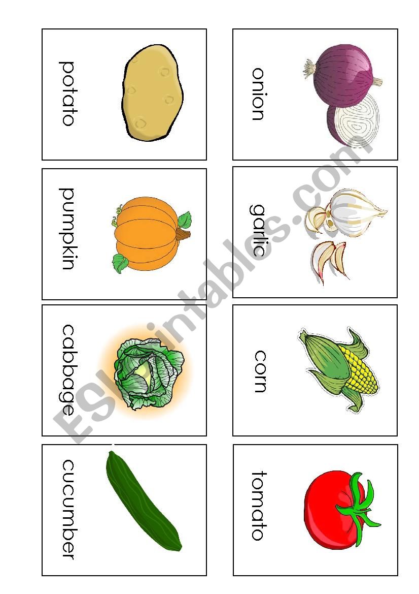 vegetable flashcards worksheet