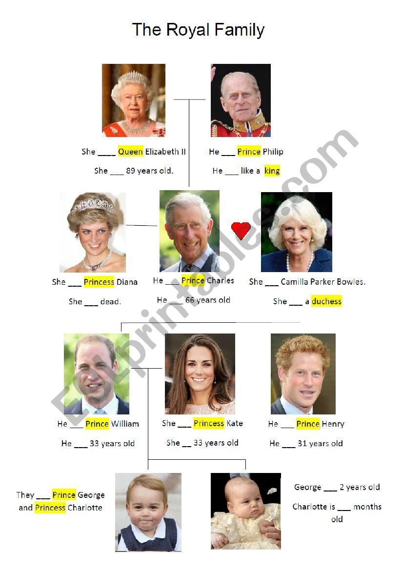 The royal family tree worksheet