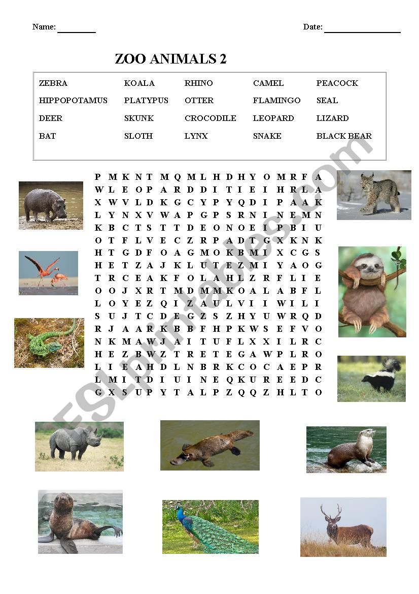 ZOO ANIMALS 2 worksheet