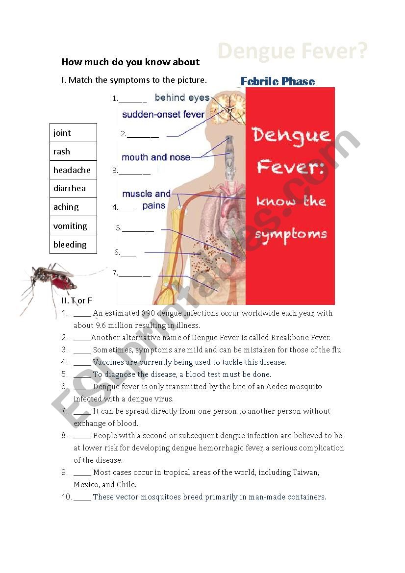 Basic instruction about Dengee Fever
