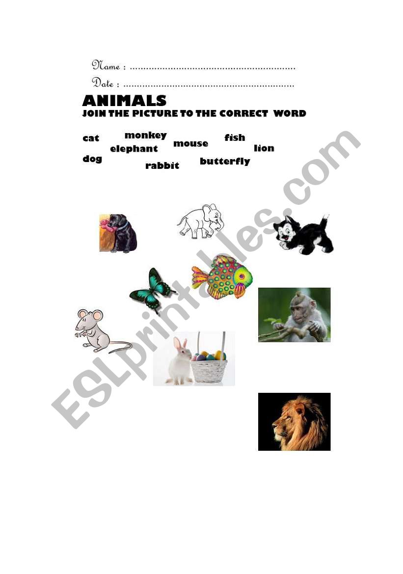 Animals vocabulary worksheet