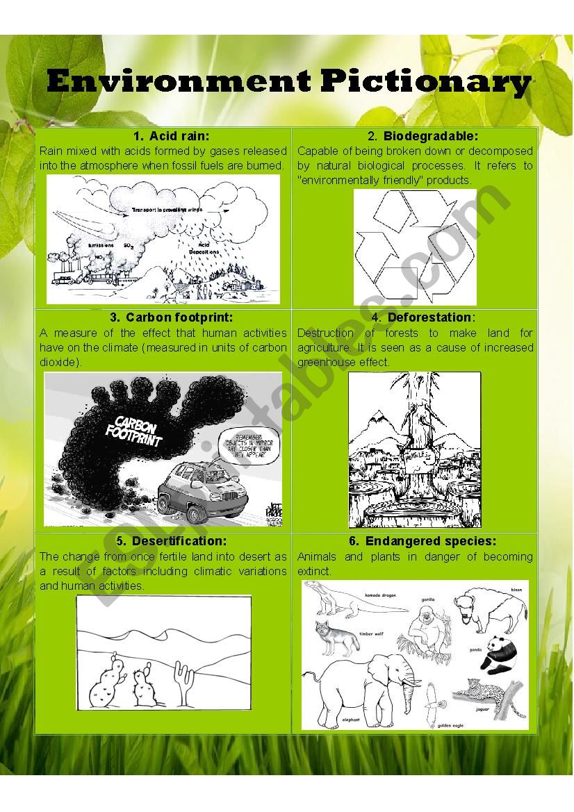 Environment Pictionary Part I worksheet