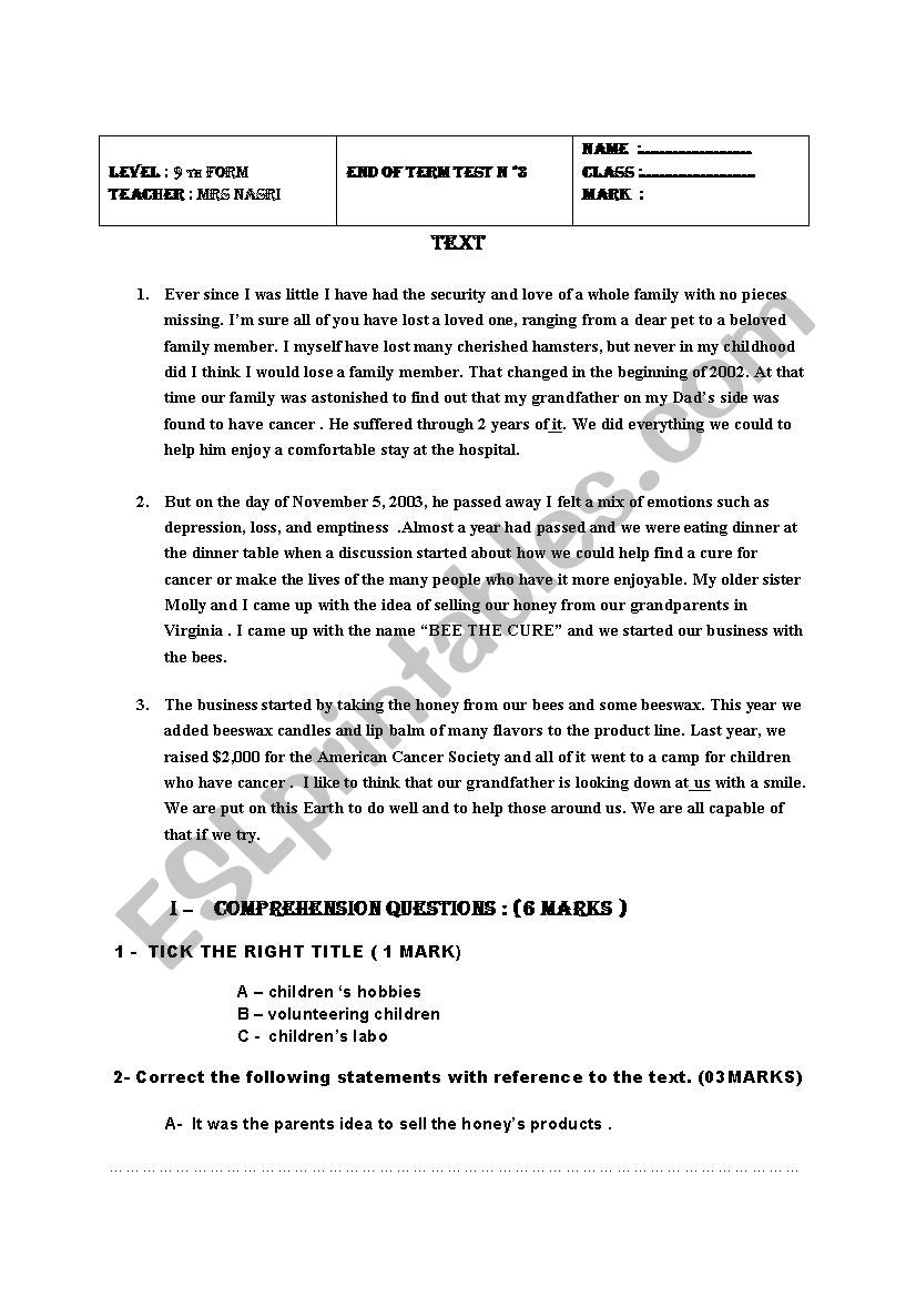 end of term test n 3 worksheet