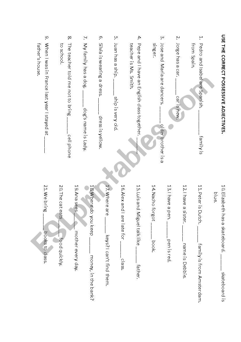 POSSESSIVE ADJECTIVES worksheet