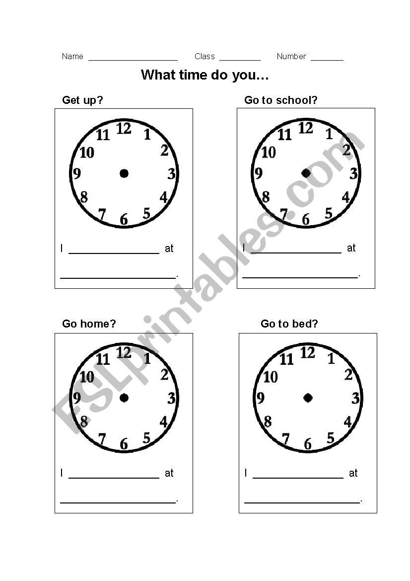 What Time Do You Worksheet worksheet
