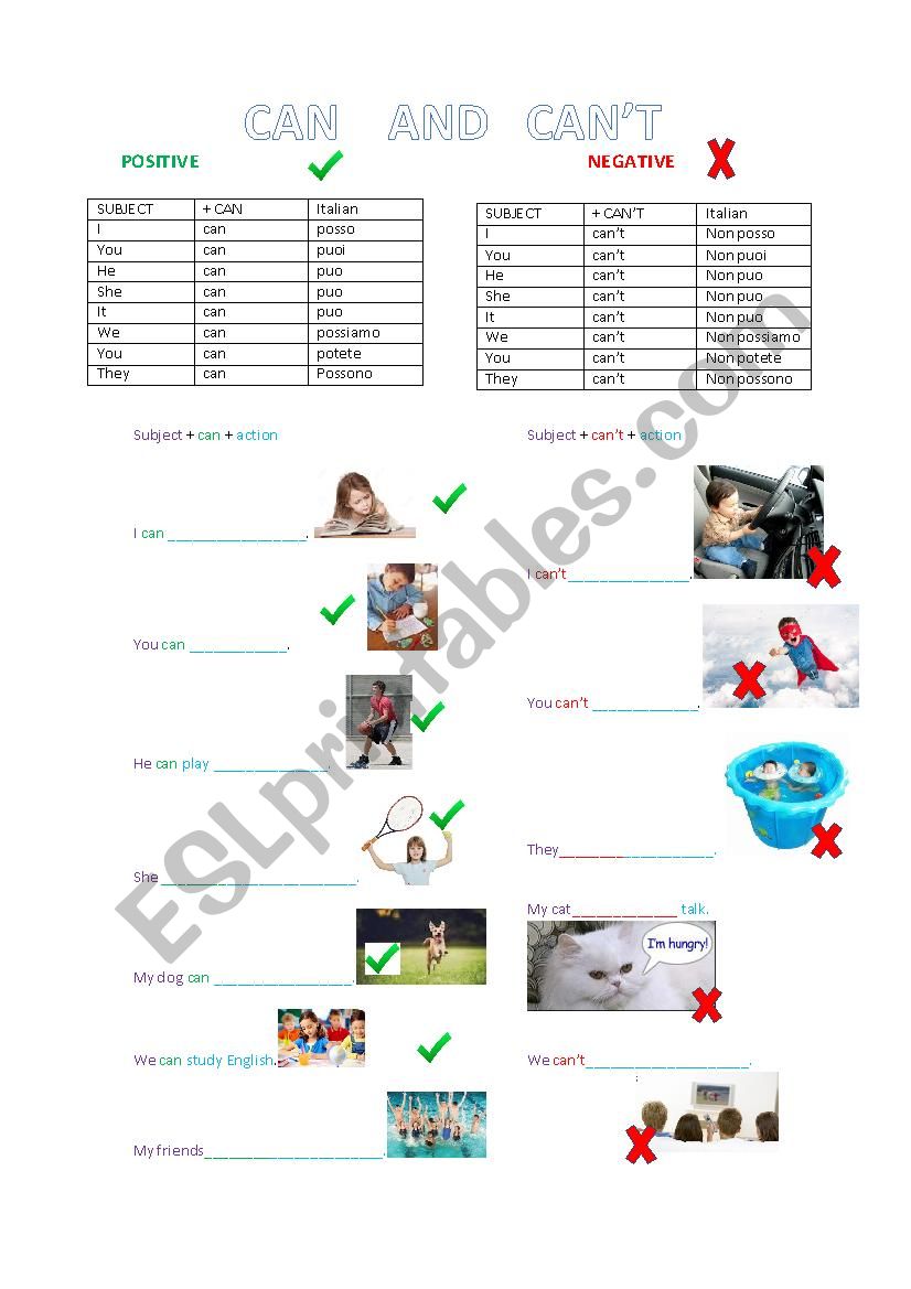 Can and Cant worksheet