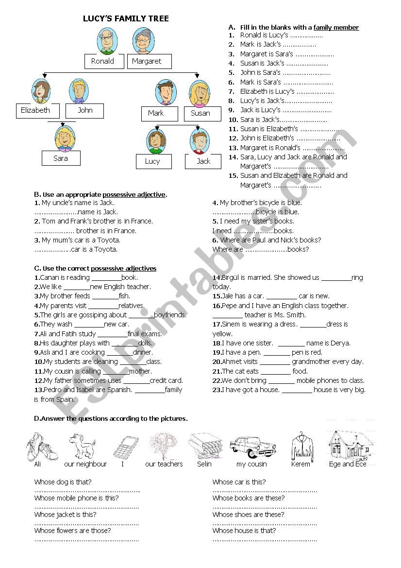 family members and possessive adjectives