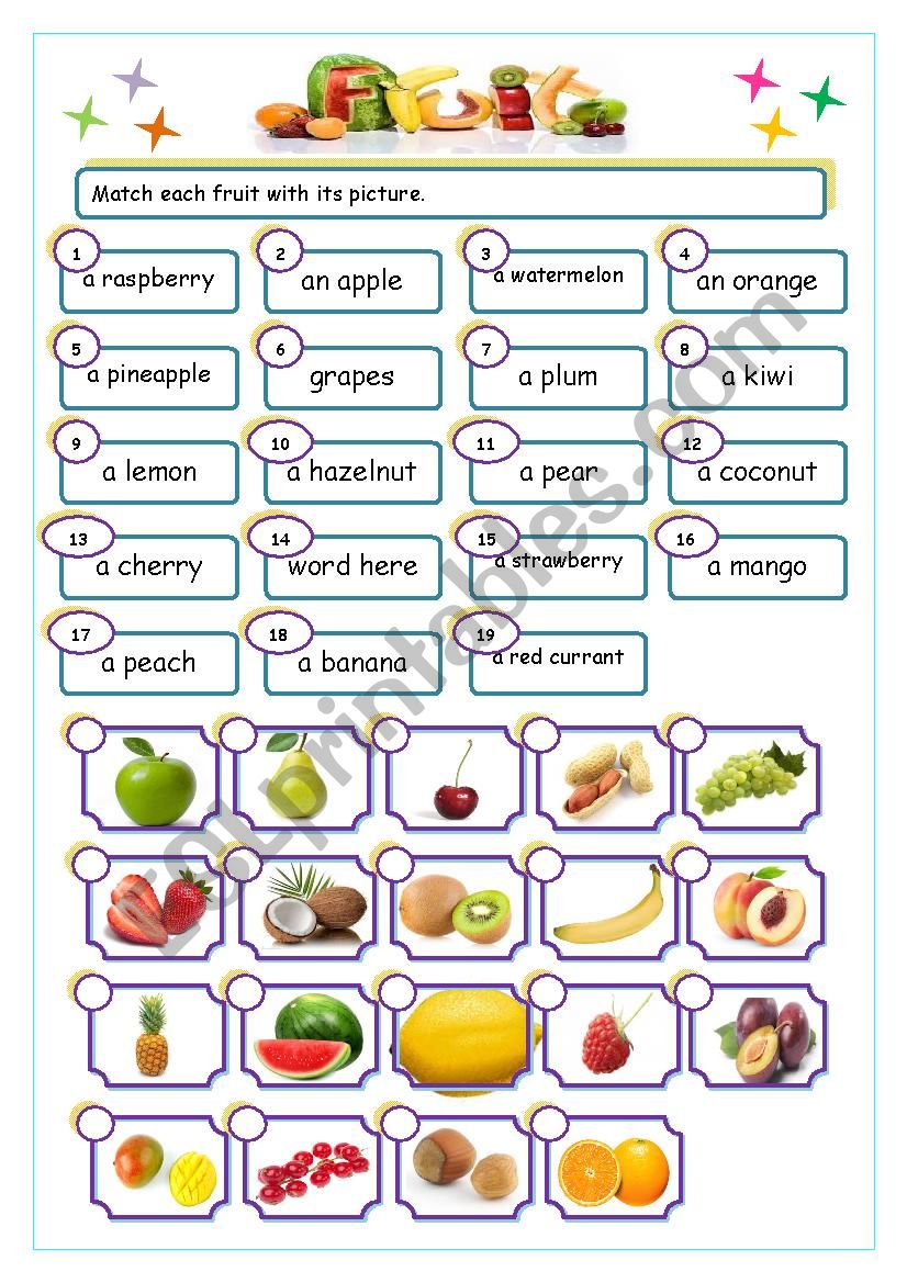 fruit match worksheet