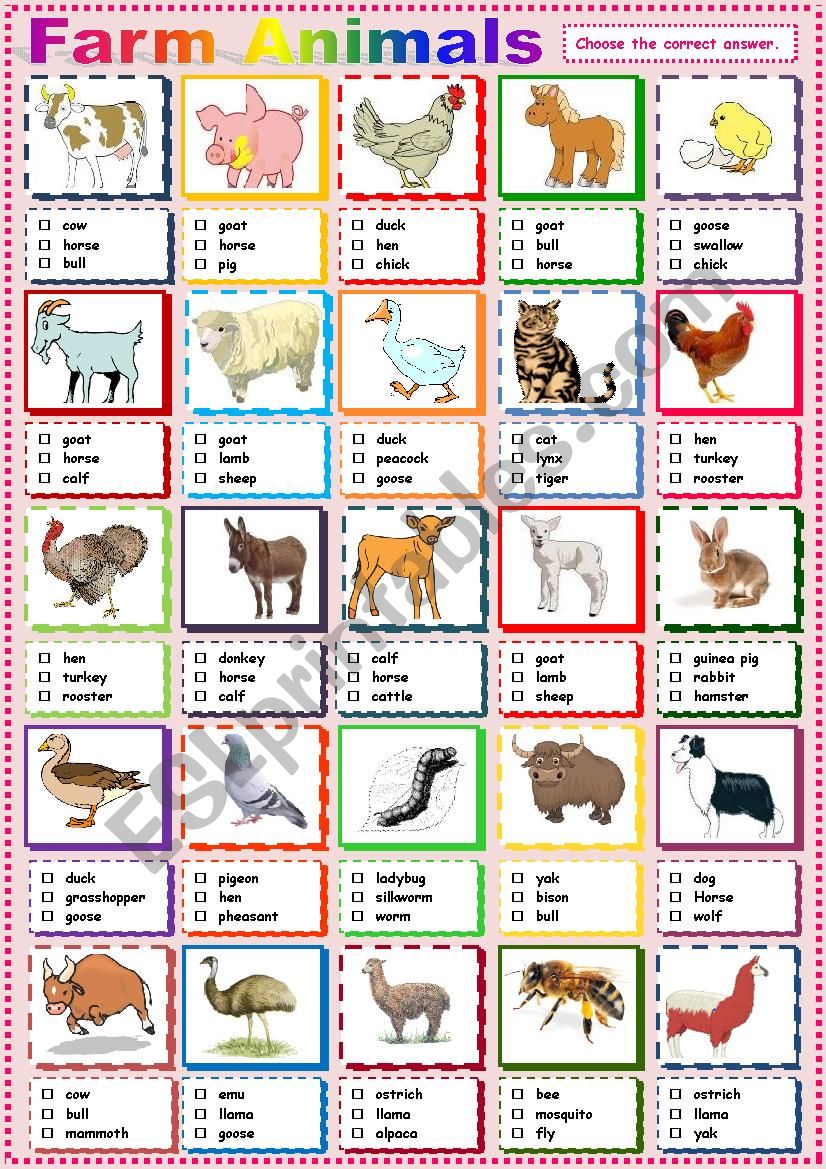 Farm Animals Pictionary. worksheet