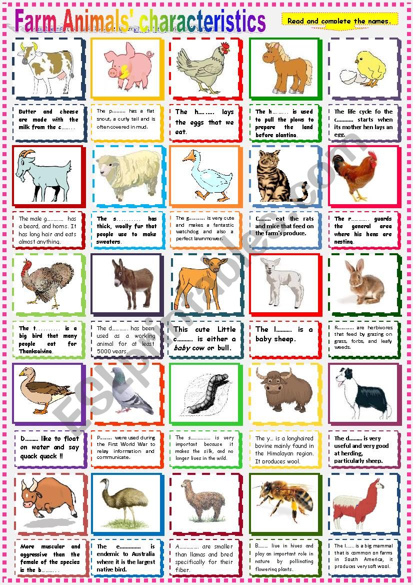 Farm Animals Characteristics. worksheet