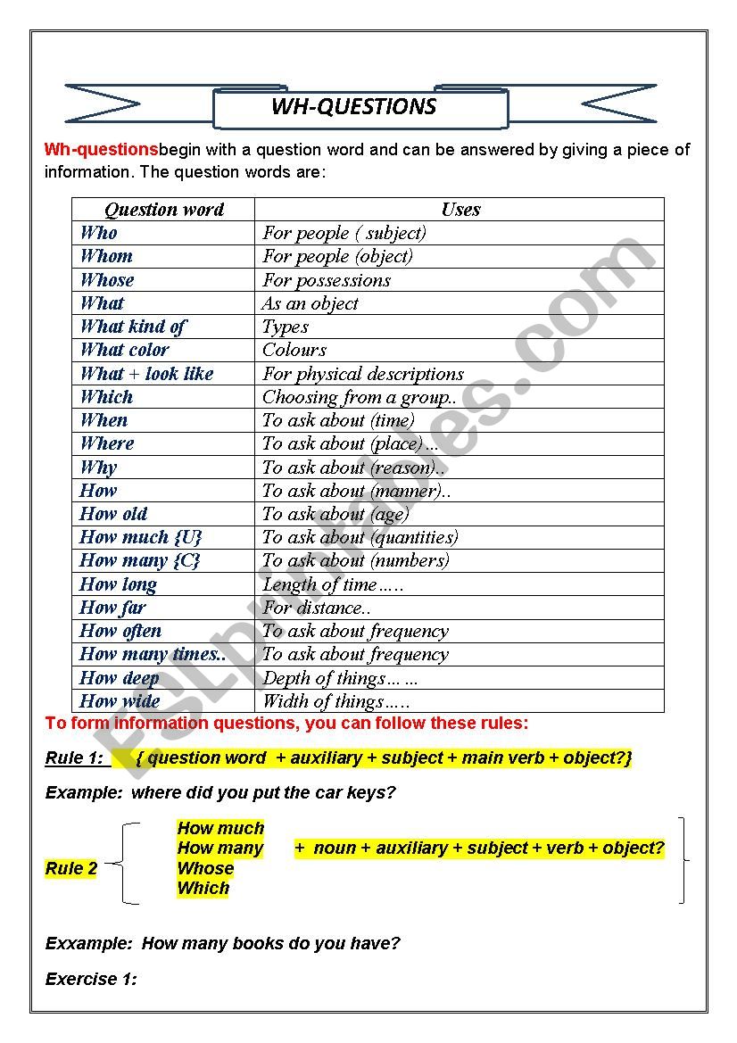 information questions  worksheet