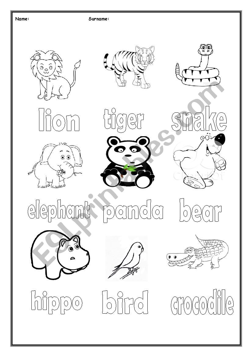 Animals Trace and Colour! worksheet