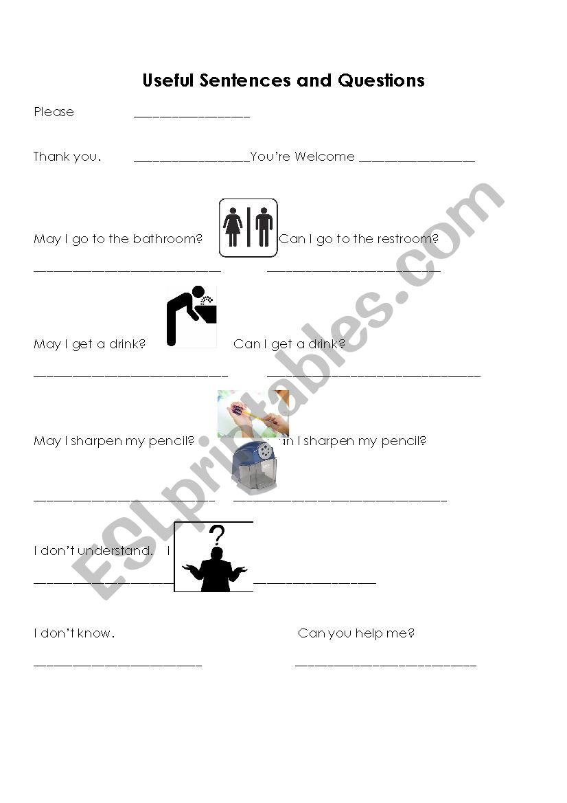 Useful Sentences and Phrases worksheet