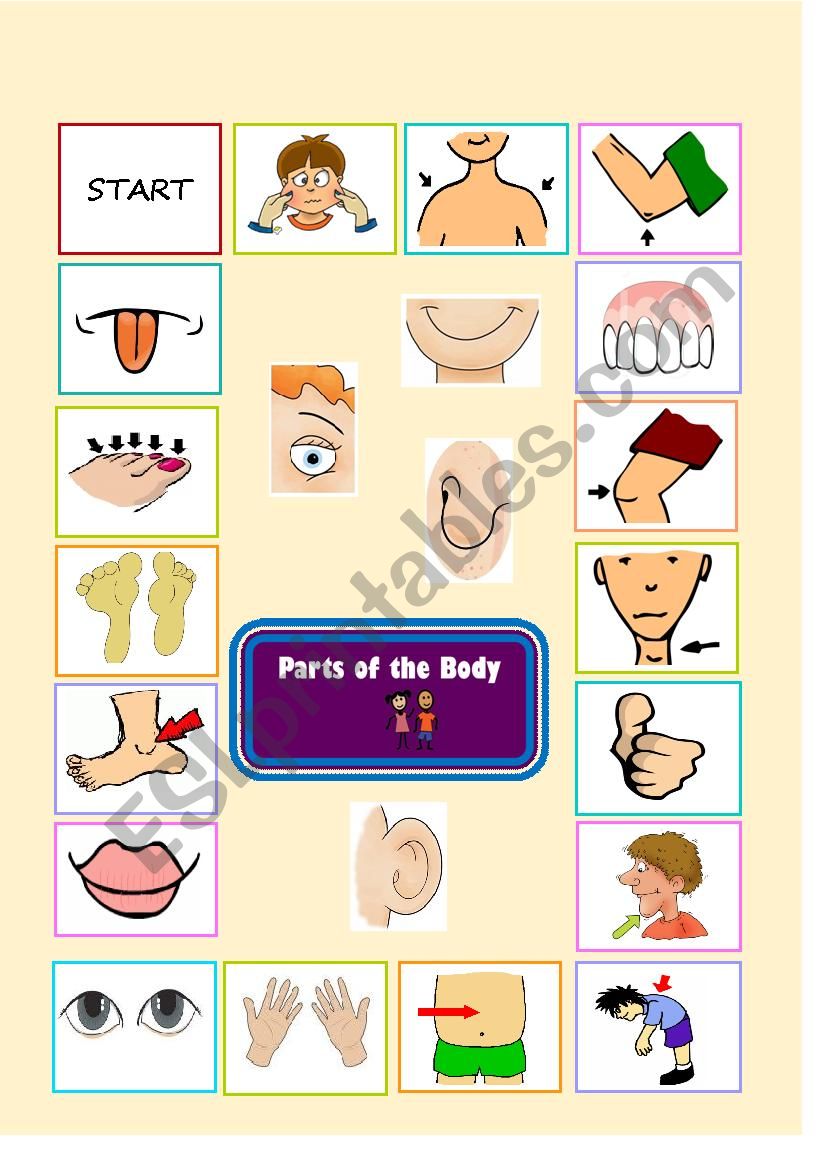 BODY PARTS GAME (part 1) worksheet