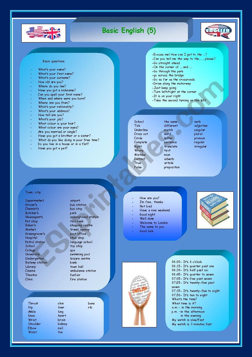 Basic English 5 worksheet