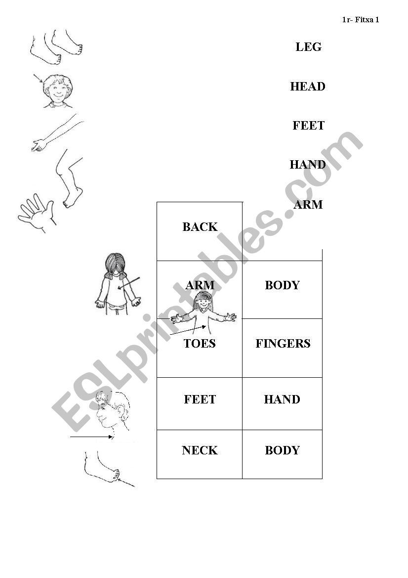 Body parts worksheet