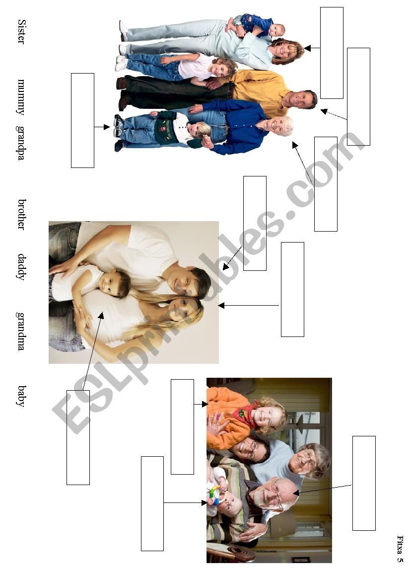 Different families worksheet