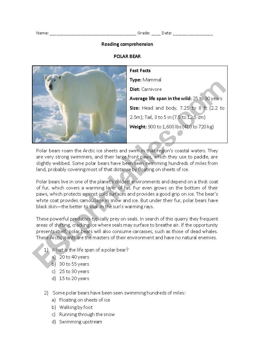 Reading comprehension - Polar bear