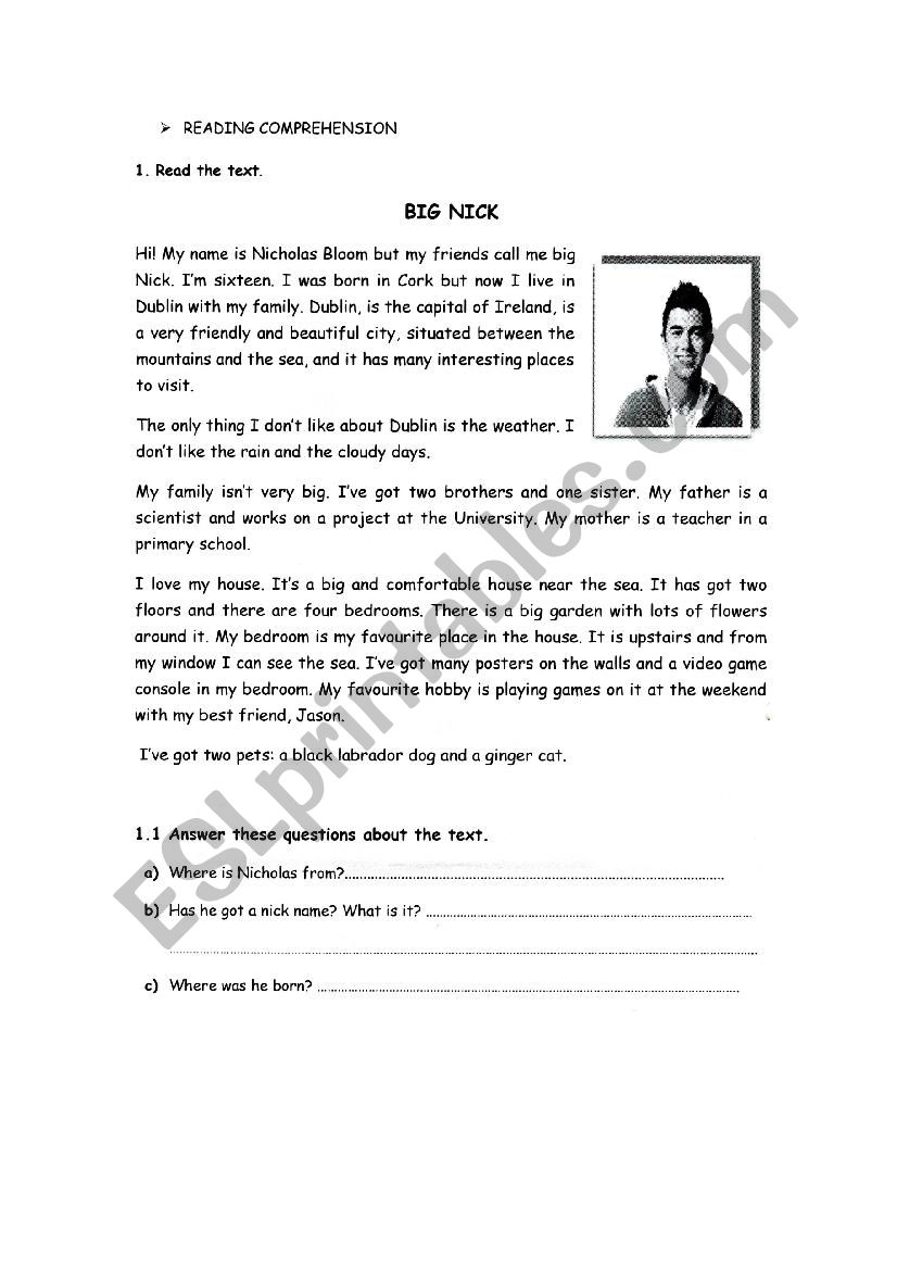 REading comprehension worksheet