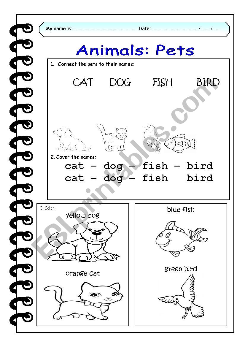Pets  worksheet