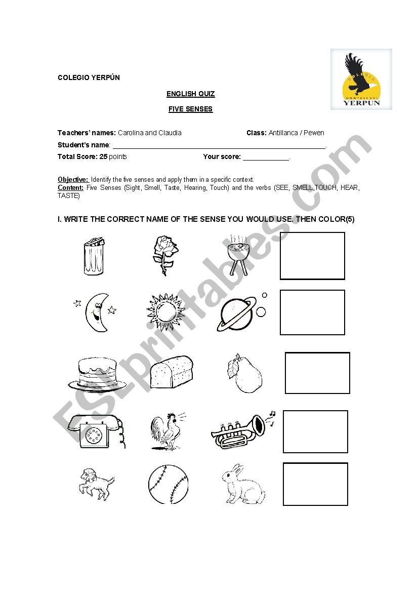 The five senses worksheet