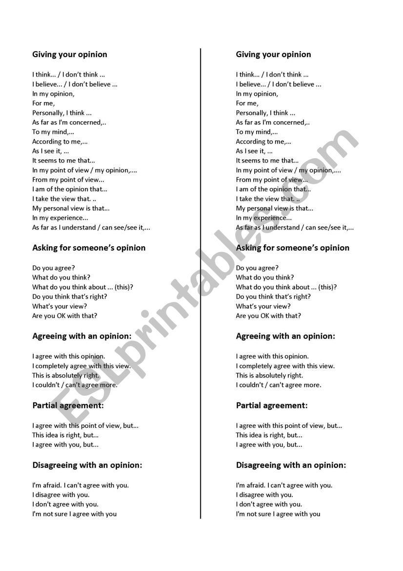 OPINIONS worksheet