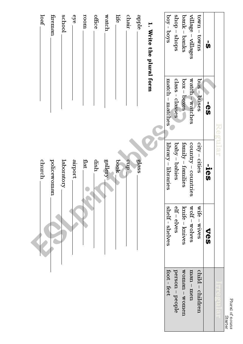 Plurals Starter worksheet