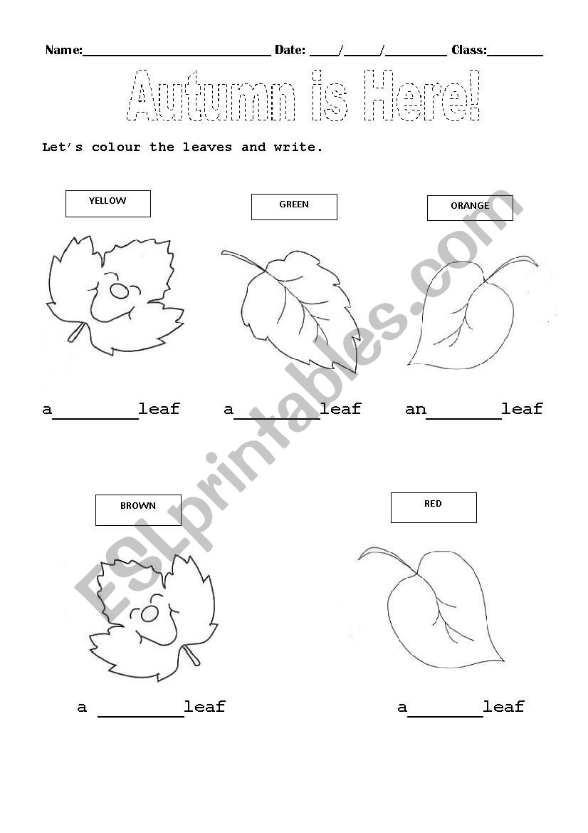 Autumn Colours worksheet