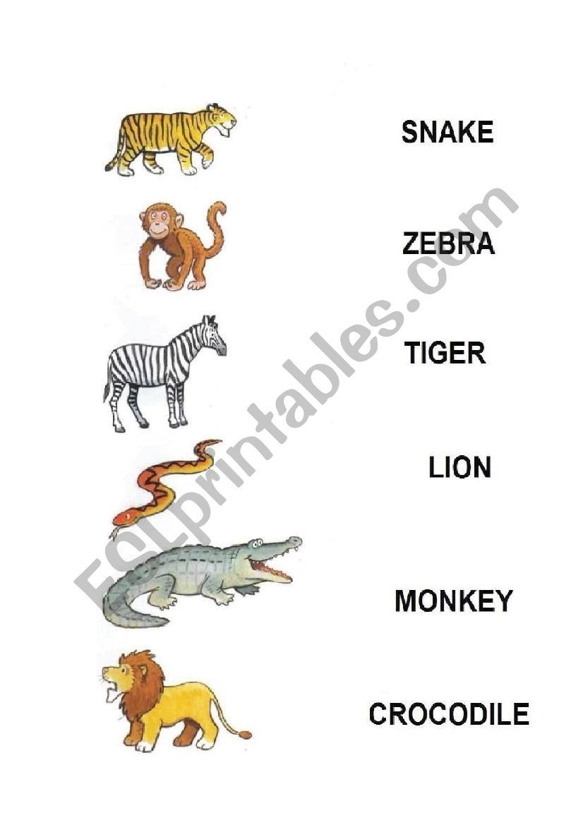 Animals worksheet