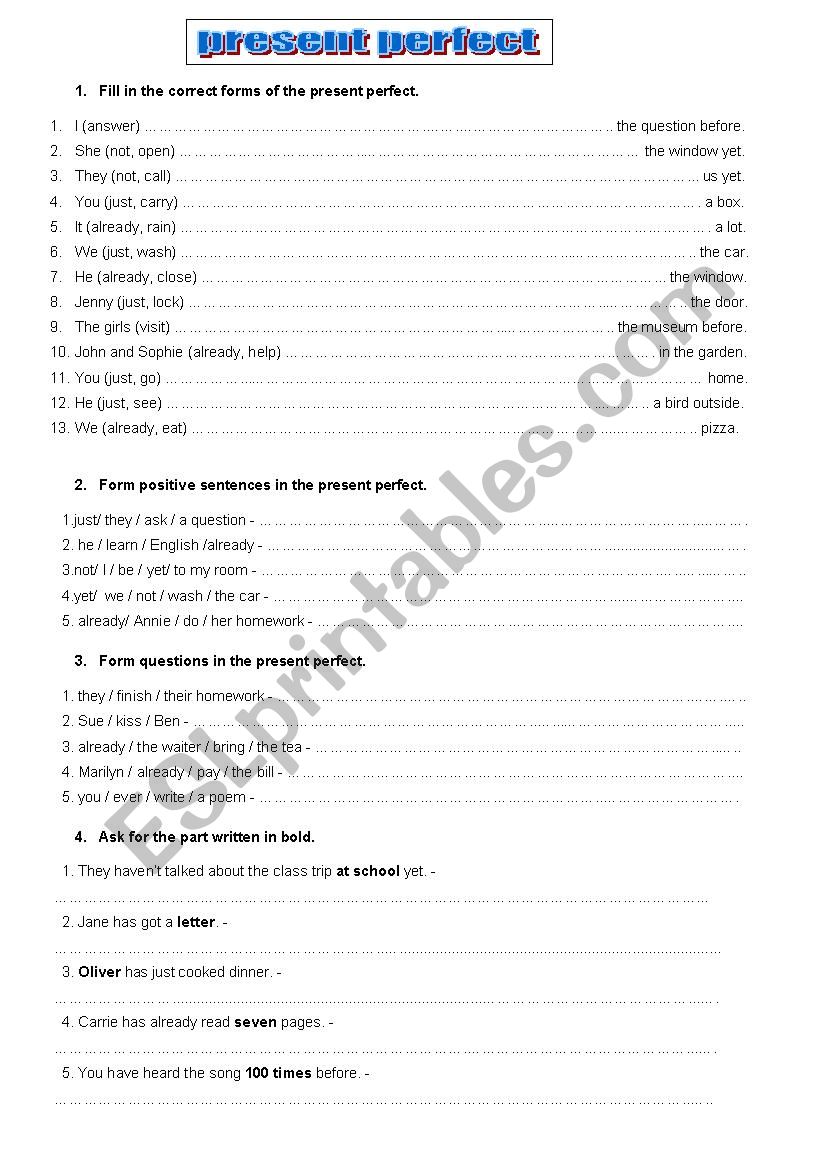 present perfect worksheet worksheet