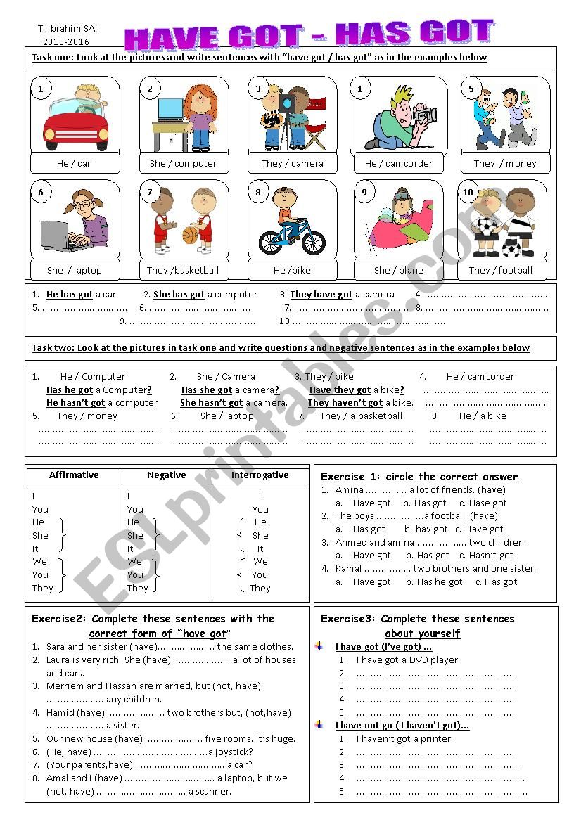 Have got / has got worksheet worksheet