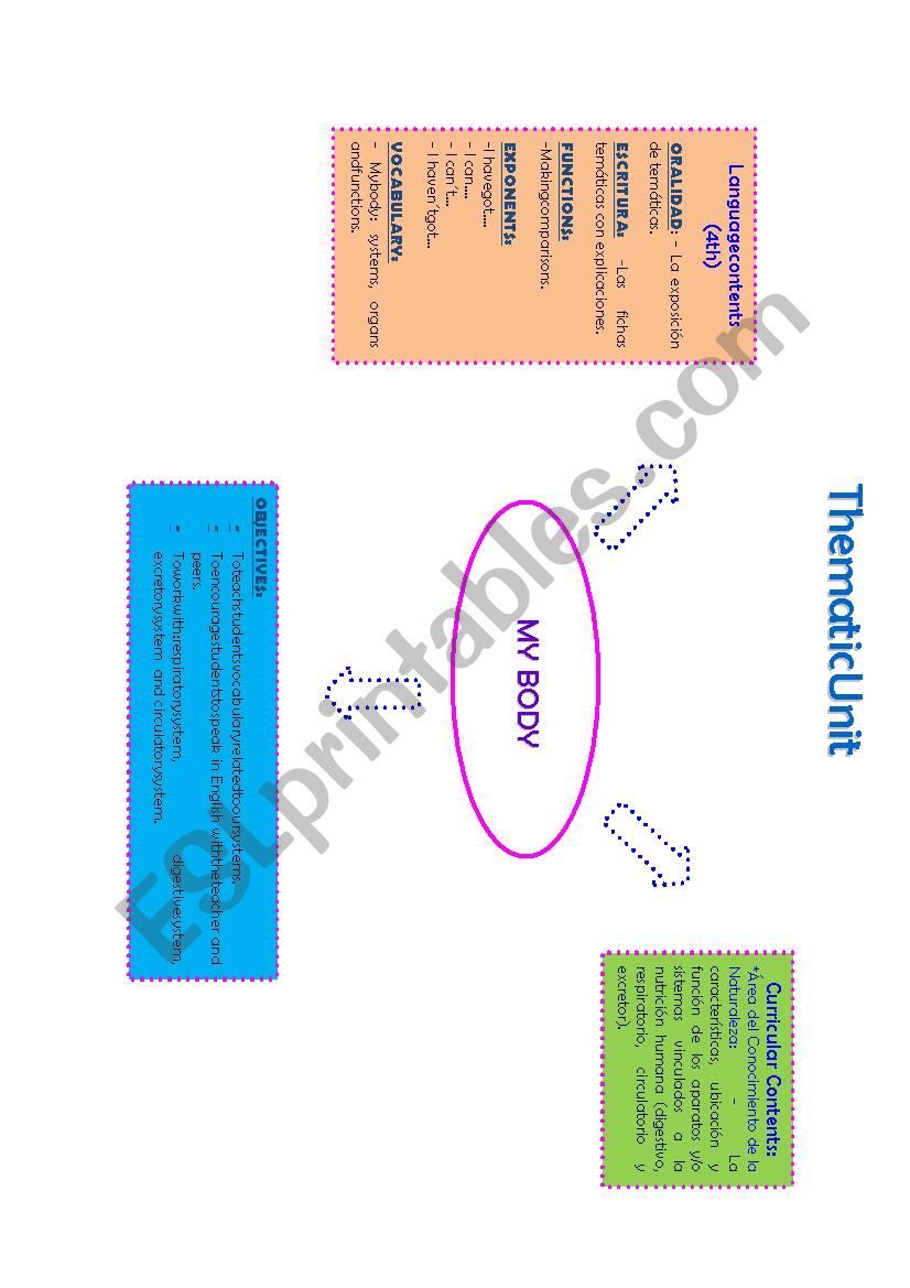 My body  worksheet