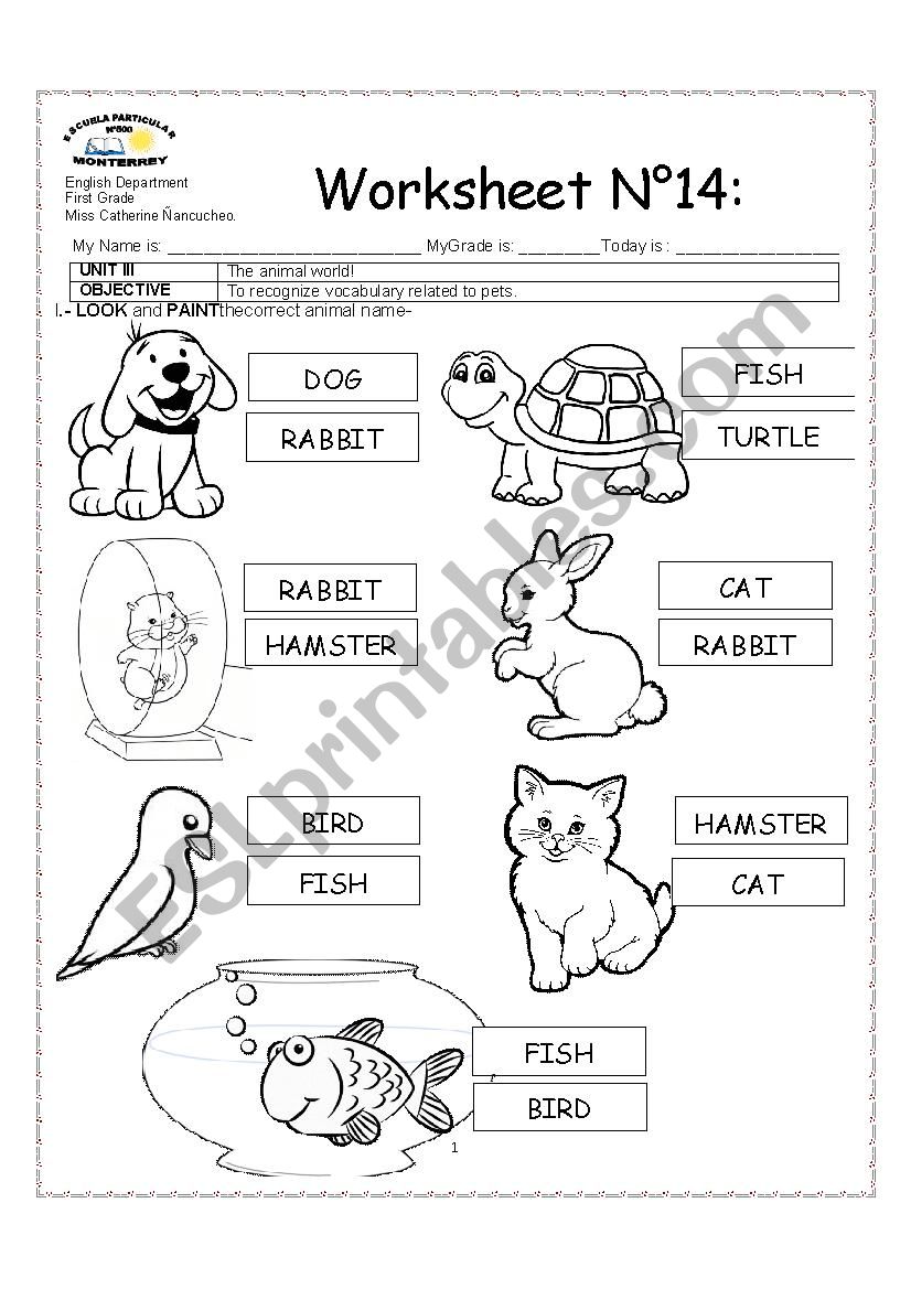 PETS worksheet