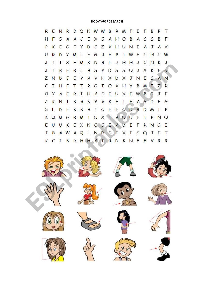 body picture wordsearch worksheet