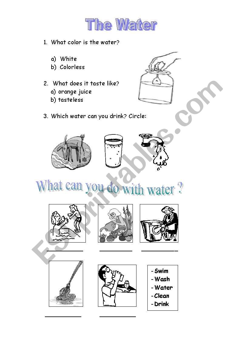 The Water  worksheet