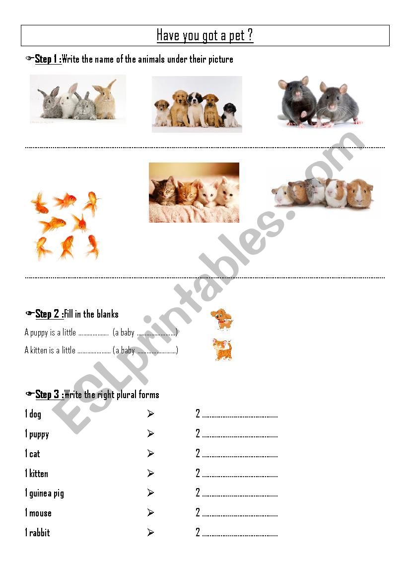 Pets worksheet