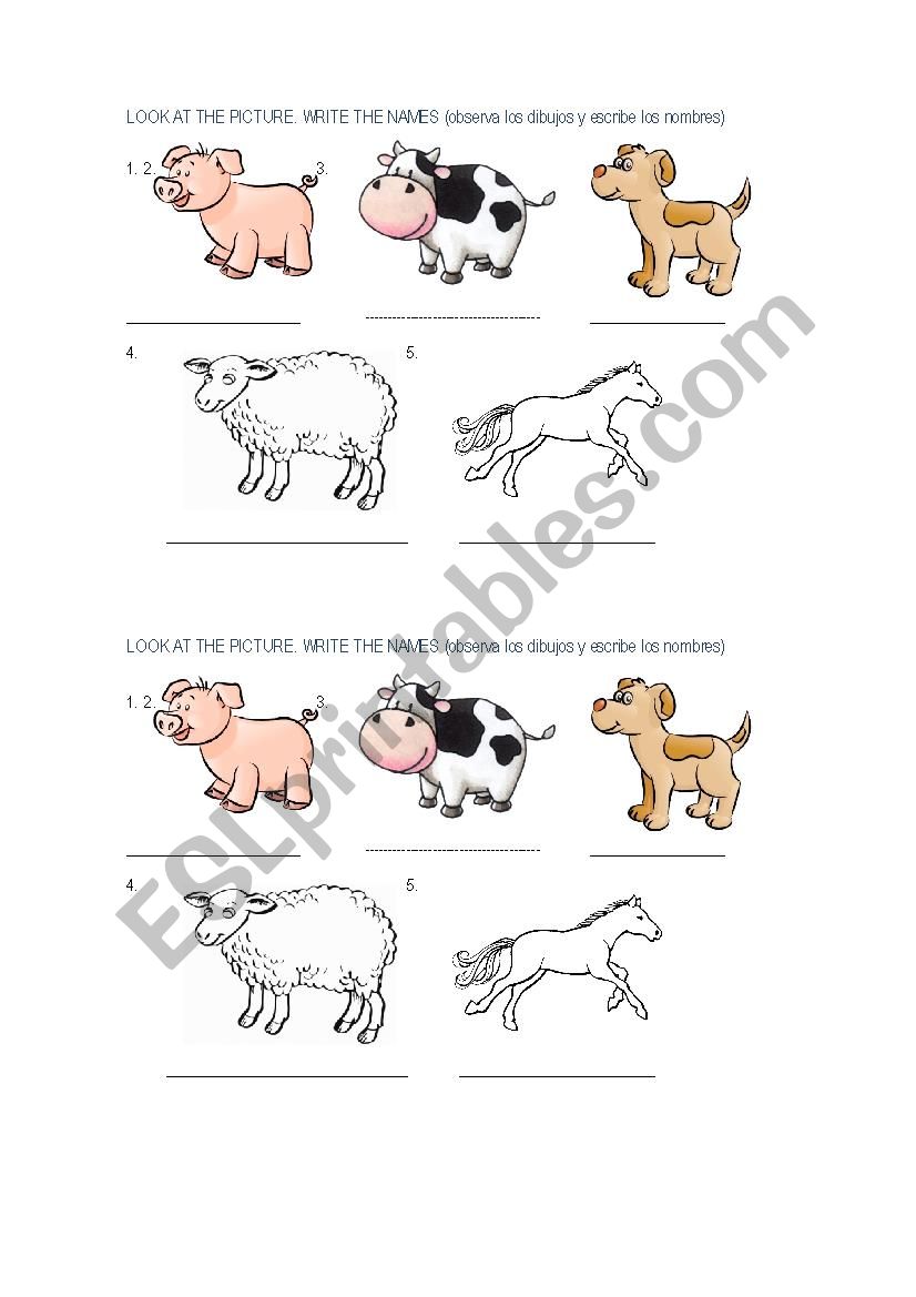 ANIMALS NAMES worksheet