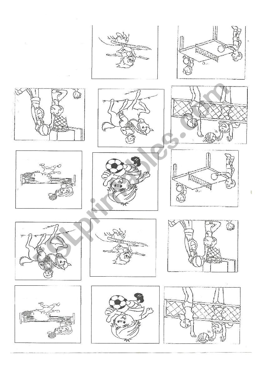 Sports- accordion book worksheet