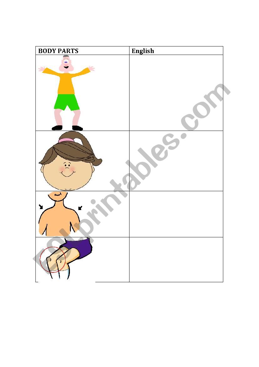 Body Parts worksheet