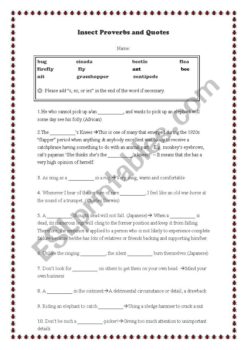 Insect Proverbs and Quotes worksheet