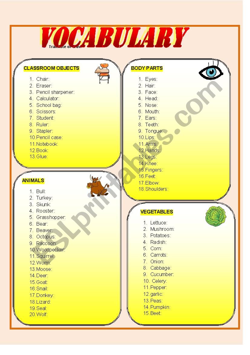 Vocabulary worksheet