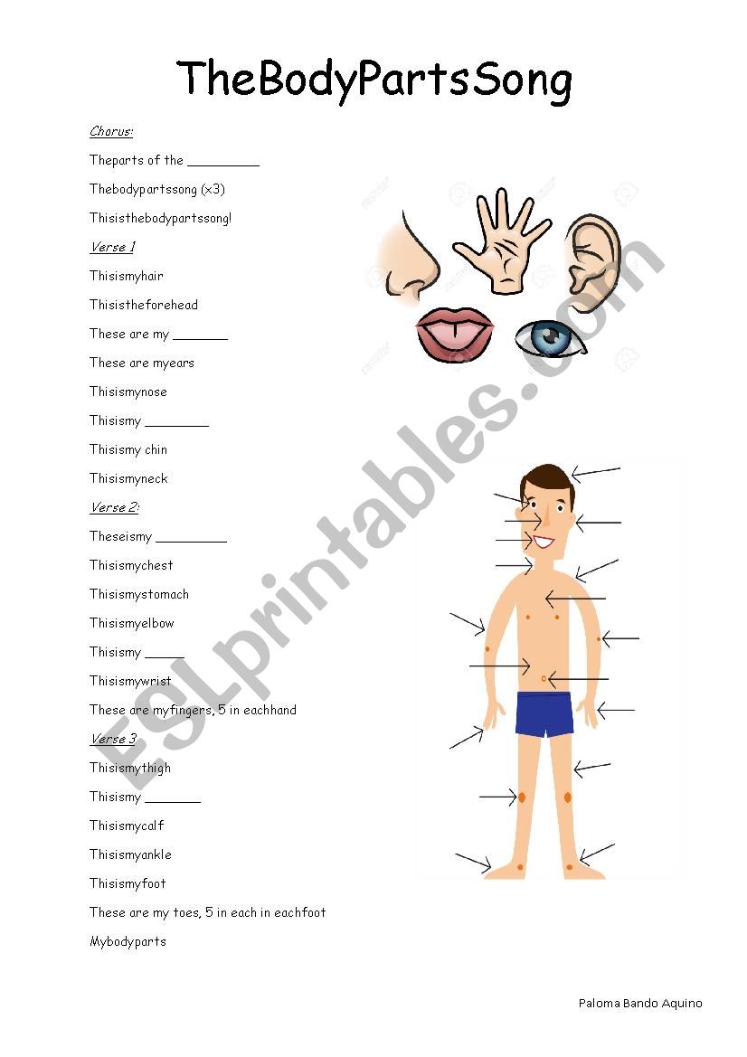 Parts of the body song worksheet