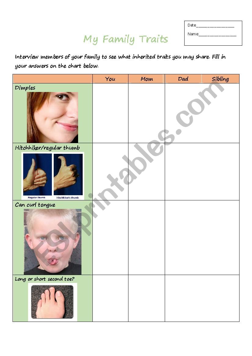 Family Traits worksheet