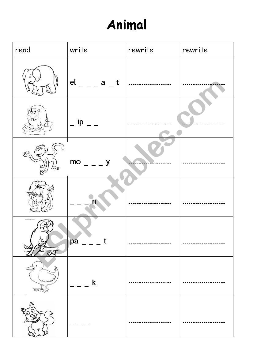 Animals worksheet