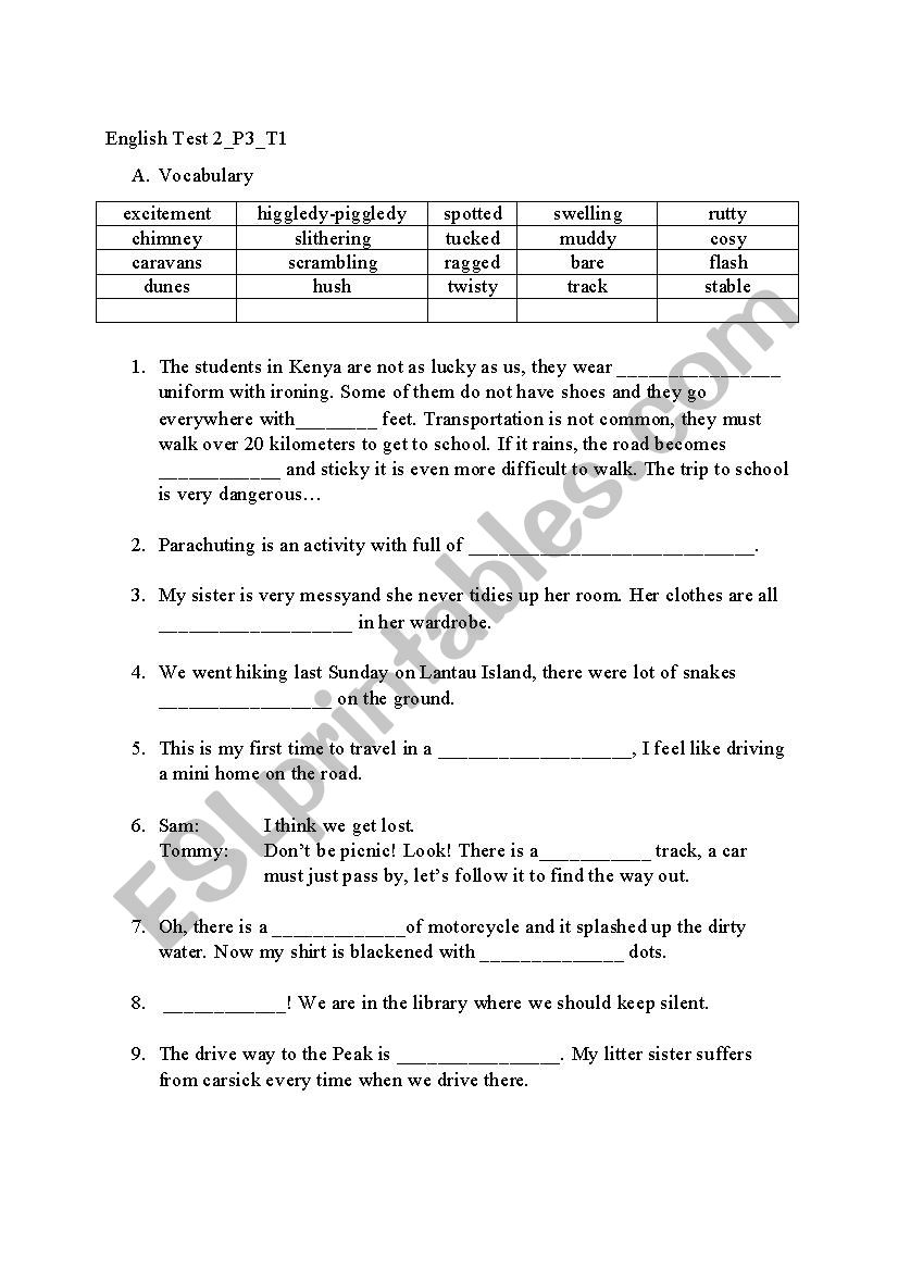 Grade 3 English Test worksheet