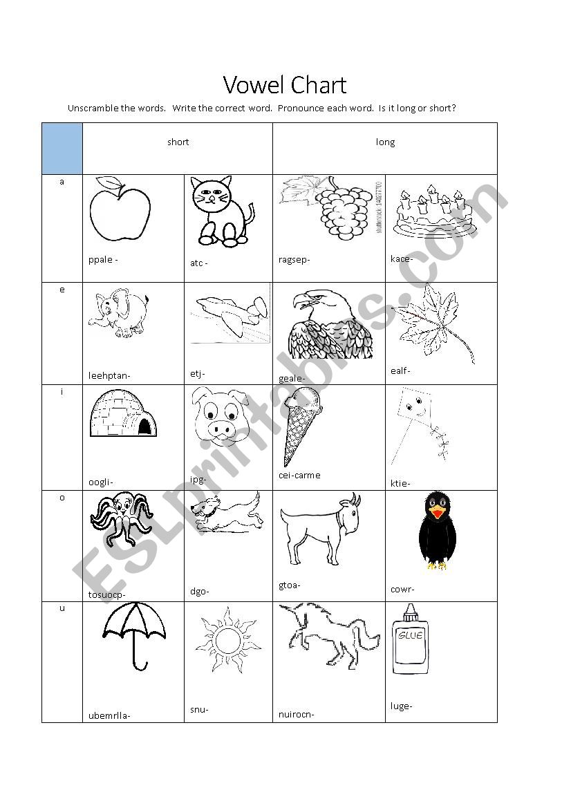 Vowels worksheet