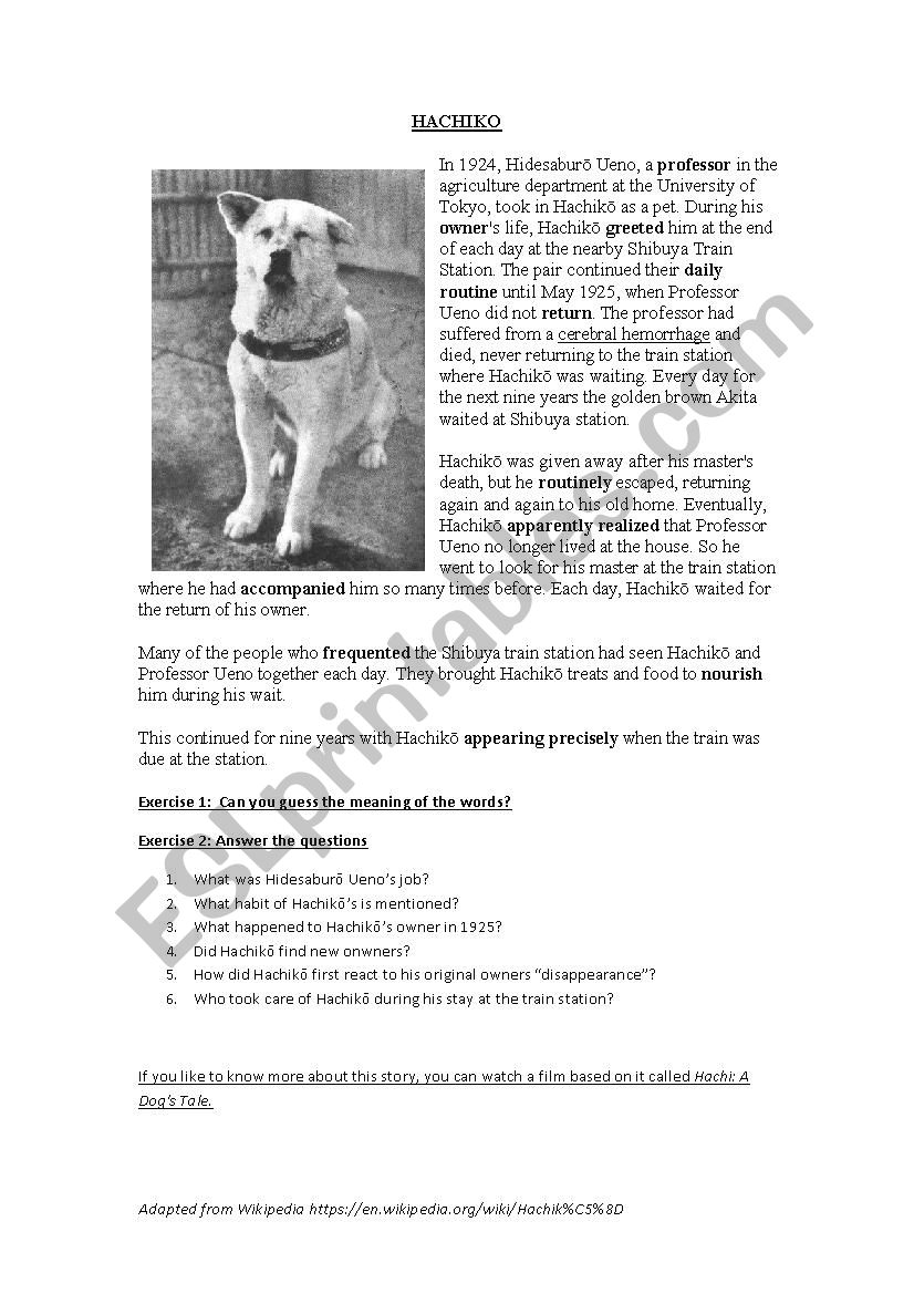 HACHIKO worksheet